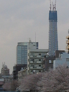 st20100403_3338.jpg