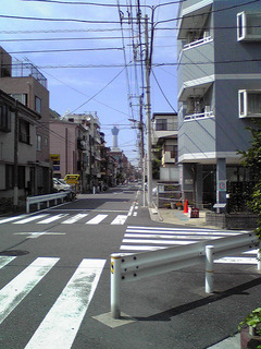 st20100710_001.jpg