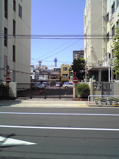 st20100710_002.jpg