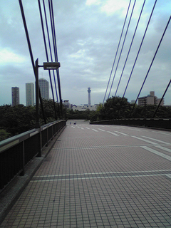 st20100812_Image018.jpg