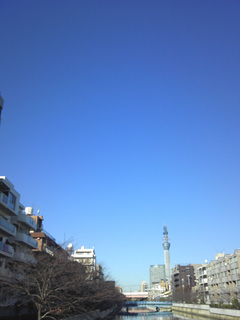 st20101204_132823.jpg