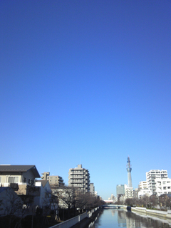 st20101204_135734.jpg