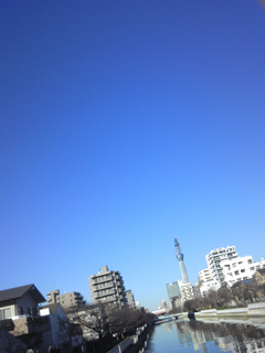 st20101204_135800.jpg