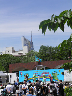 st20110515_0039.jpg