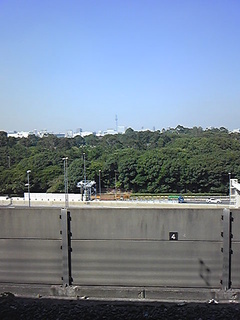 100917_133132.jpg
