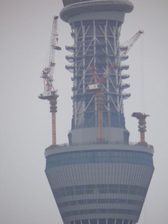 20110625_002.jpg