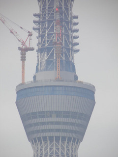 20110701_009.jpg