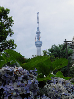 20110702_002.jpg
