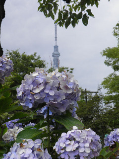 20110702_003.jpg