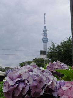20110702_006.jpg