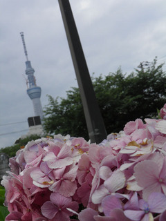 20110702_007.jpg
