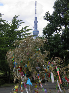 20110707_003.jpg