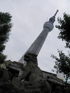 20110708_002.jpg