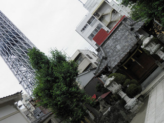 20110708_005.jpg