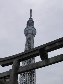 20110708_006.jpg