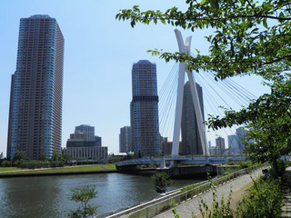 20110715_006.jpg