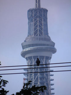 20110721_001.jpg