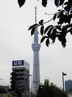 20110728_001.jpg