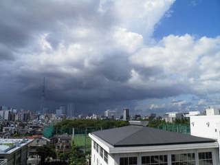 20110804_10.jpg