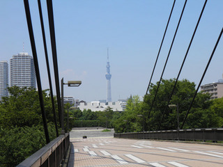 20110810_002.jpg