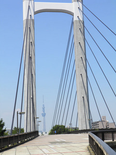 20110810_003.jpg