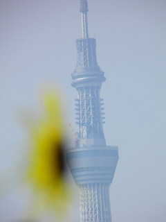 20110814_018.jpg