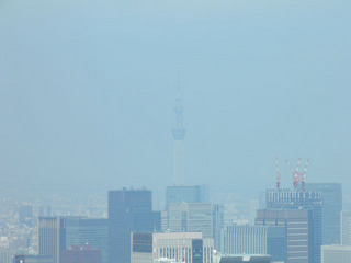 20110815_015.jpg