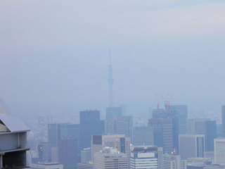 20110815_024.jpg