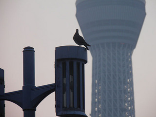 20110816_021.jpg