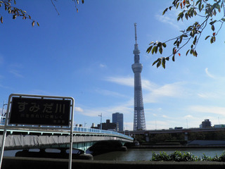 20111112_015.jpg