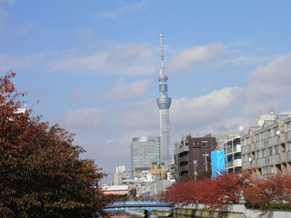 20111120_01.jpg