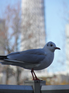 20111204_010.jpg
