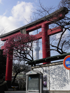 20120303_002.jpg