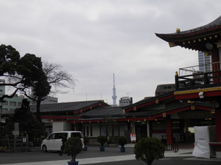 20120304_012.jpg