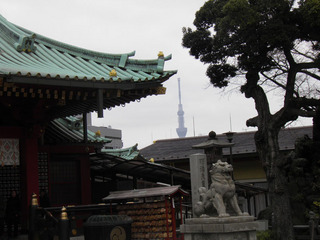 20120304_013.jpg
