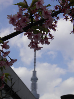 20120401_012.jpg