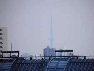 20120408_029.jpg