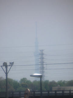 20120428_004.jpg