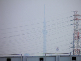 20120428_006.jpg