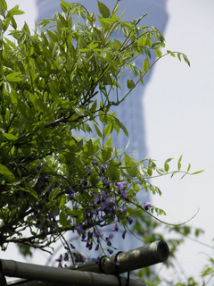 20120429_005.jpg