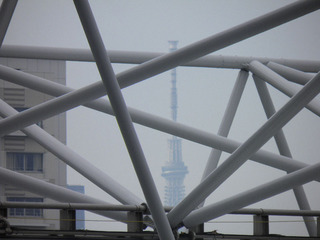 20120617_001.jpg
