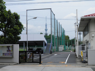20120811_001.jpg
