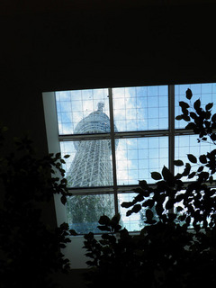 20120818_020.jpg