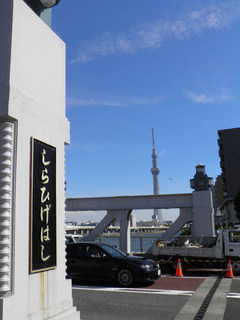 20120825_005.jpg