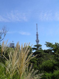 20120825_011.jpg