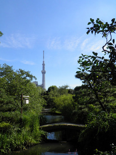 20120825_014.jpg