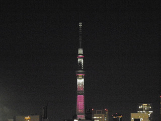 20121001_008.jpg