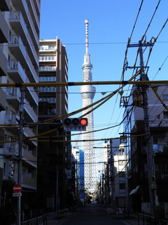 20130104_001.jpg