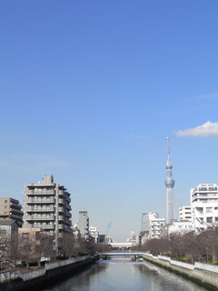 20130119_002.jpg