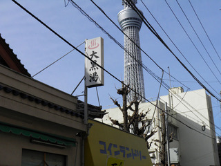 20130203_003.jpg
